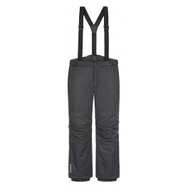 Icepeak мужские брюки(осень / зима) TRAVIS 290